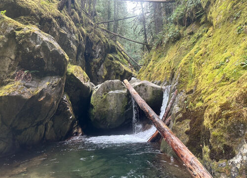 Irene Creek-20240923090534 pic.jpg