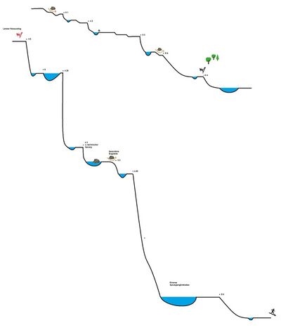 Palvico-topo.jpg