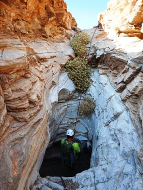 Predator Canyon Banner.jpg