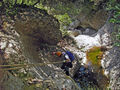 Thumbnail for version as of 10:09, 27 August 2024
