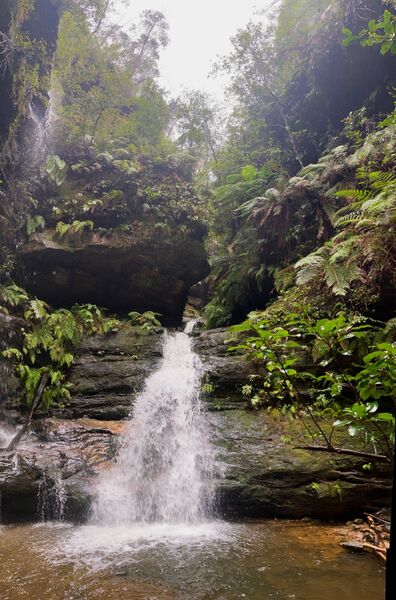 File:Bald Hills Gully Banner.jpg