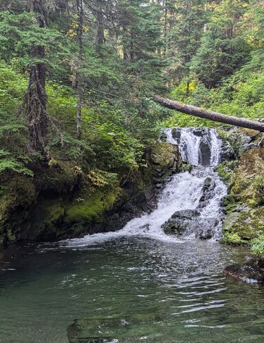 Deadhorse Creek-20240909194428 pic.jpg