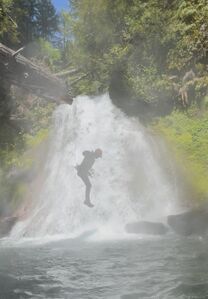 Diving board.jpeg