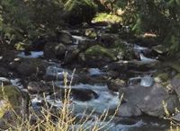 Duncan Creek-20170423230103 pic.jpg