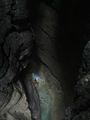Thumbnail for version as of 13:14, 16 August 2022