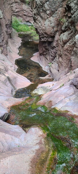 File:Little High Creek pic010.jpg