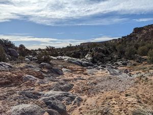 Lower Ute Canyon pics2.jpg