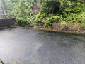 Thumbnail for version as of 00:33, 8 January 2023