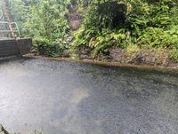 Titou Gorge (Upper)-20230108003153 pic.jpg