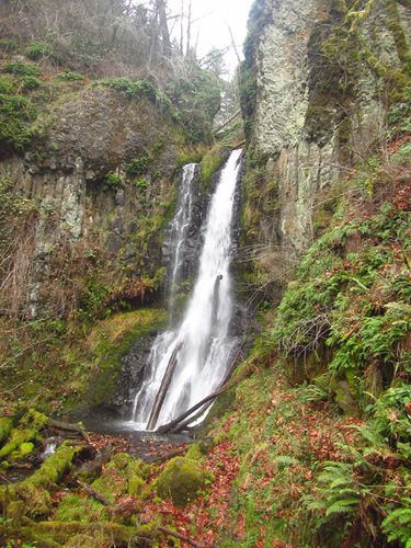 Archer Creek (Columbia River Gorge)-20191203162548 pic.jpg