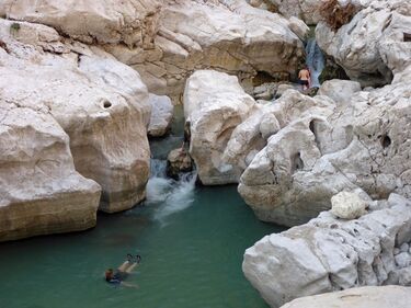 Bani Kahlid (Upper) Banner.jpg