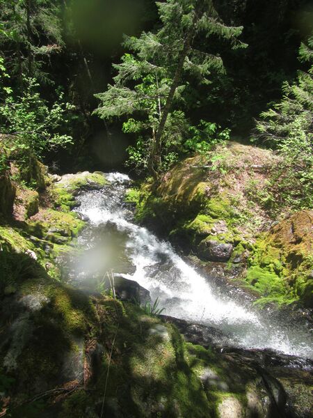 File:Hinkle Tinkle Creek R5.jpg
