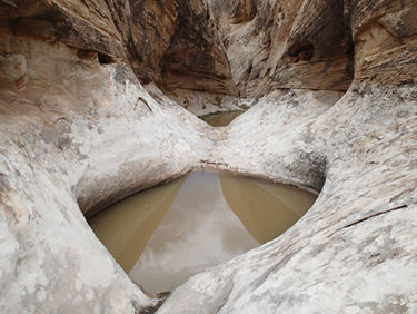 Knotted Rope Canyon Banner.jpg
