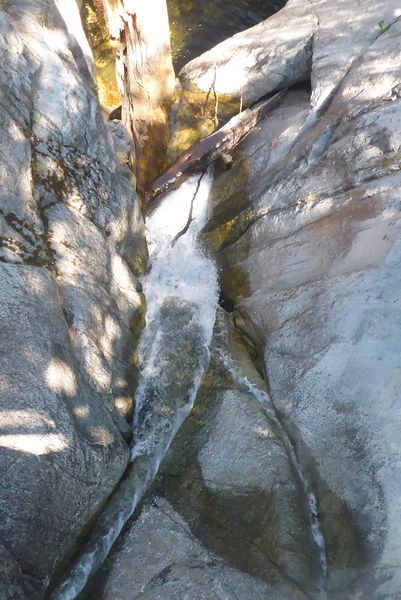 File:ChambersCreekZoom.jpg