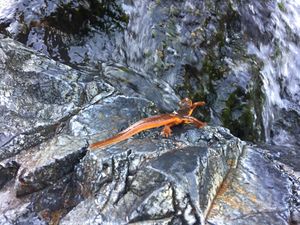 FILE-20171031012632.jpg