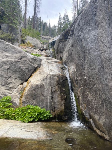 File:FILE-20210809031845.jpg