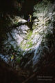 Thumbnail for version as of 20:59, 20 October 2021