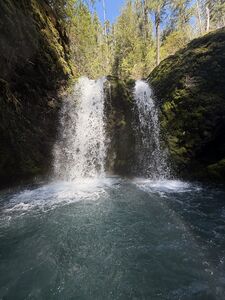 Mosquitopool mar2026.jpeg