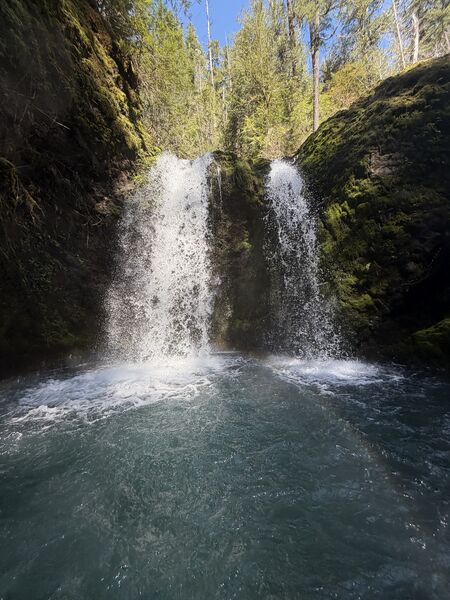 File:Mosquitopool mar2026.jpeg