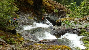 Sardine Creek Banner.jpg
