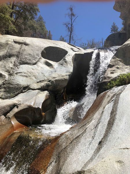 File:Strawberry Creek Straw R3up.jpg