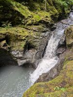 Swamp Creek-20240910172208 pic.jpg