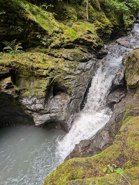 File:Swamp Creek-20240910172208 pic.jpg
