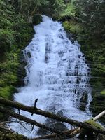 Hopkins Creek-20210516185008 pic.jpg