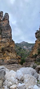 Pine Springs (Devil's Hall) pic16.jpg
