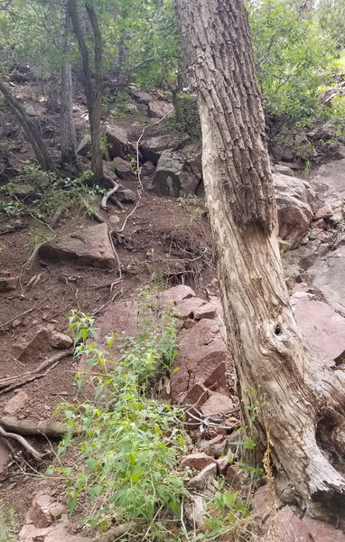 File:Queens Canyon pic11.jpg
