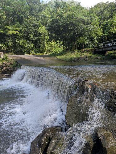 Titou Gorge (Middle)-20241226060356 pic.jpg