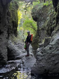FILE-20230714174428-5.jpg