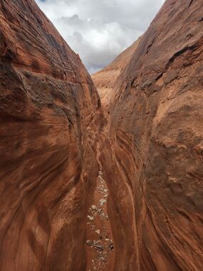 Offshore Canyon Banner.jpg