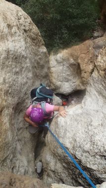 Wasp Canyon Banner.jpg