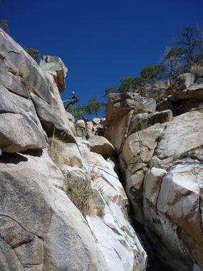 Willow Canyon (Santa Catalina Mountains) Banner.jpg