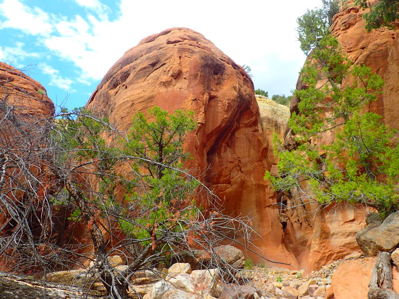 File:Chavez Canyon pic7.jpg