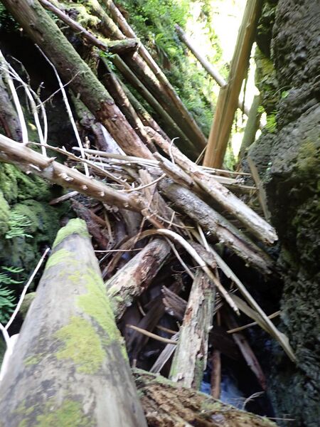 File:Cougar Creek logjam.jpg