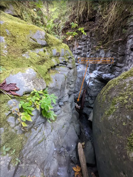 File:Lower Fulton Creek lfc8.jpg