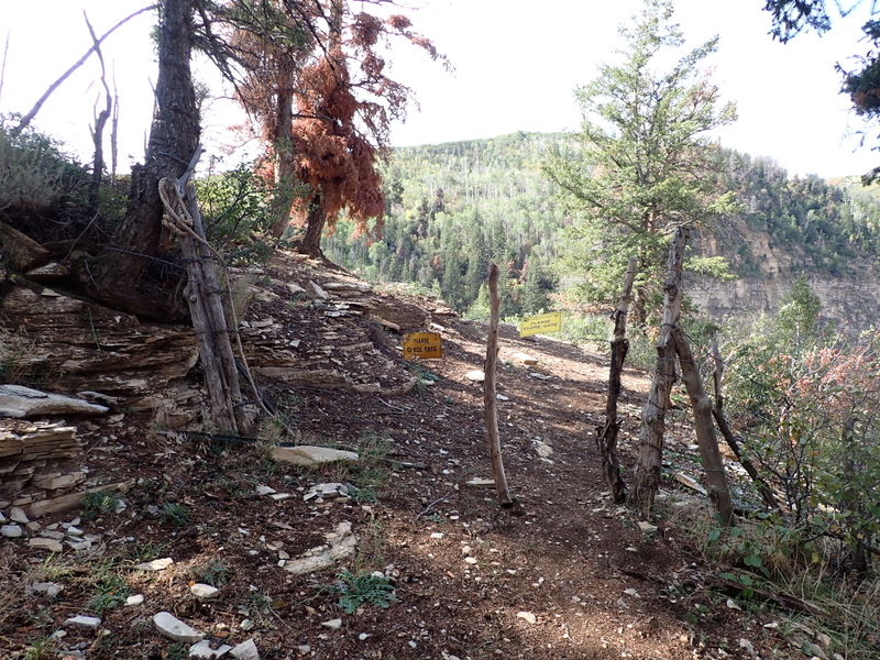 File:Parachute Creek (East Fork) pic1.jpg