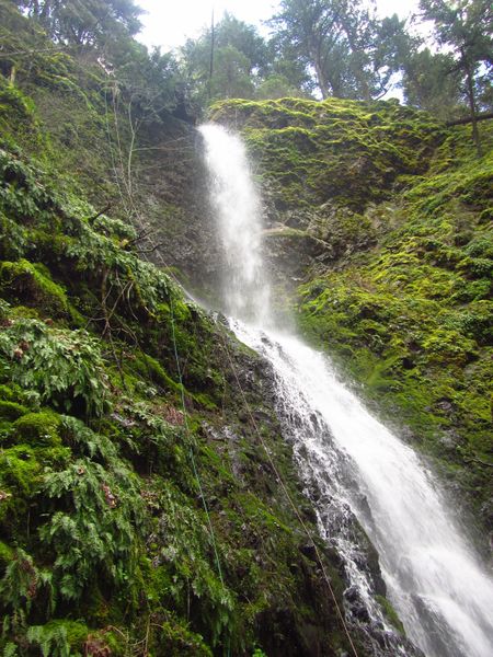 File:Little Viento Creek-20200124082304 pic.jpg