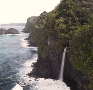 Sunny D Canyon Banner.jpg