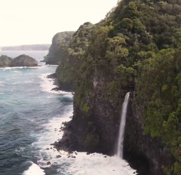 File:Sunny D Canyon Banner.jpg