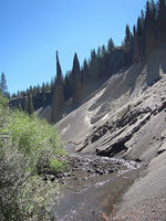 Wheeler Creek-20170614162807 pic.jpg