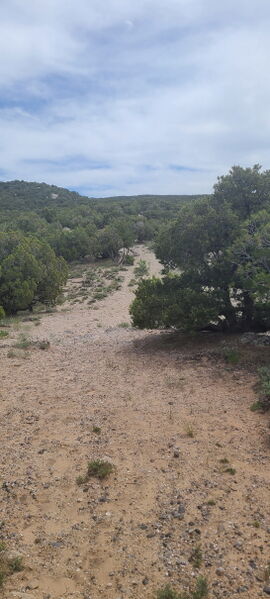 File:Buckwater Draw pic20.jpg