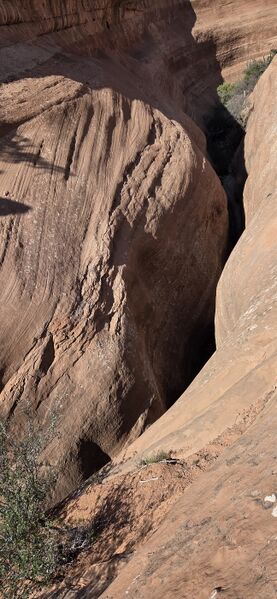 File:Chasm Canyon pic001.jpg