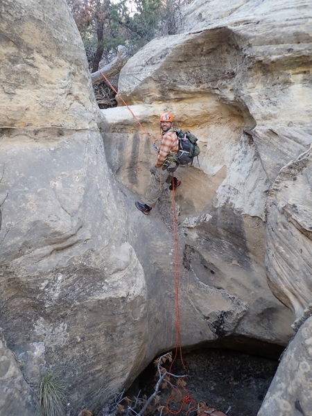 File:Cougar Canyon (New Mexico) pic5.jpg