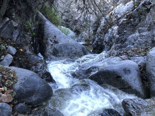Eaton Canyon-20191229170359 pic.jpg