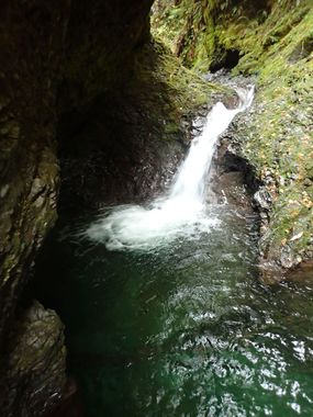 Middle Fork Big Creek (Olympic Peninsula) Banner.jpg
