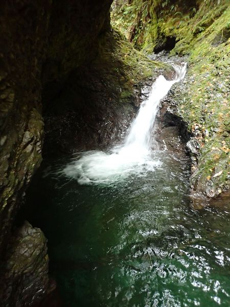 File:Middle Fork Big Creek (Olympic Peninsula) Banner.jpg