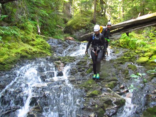 Olallie Creek-20200118050307 pic.jpg